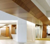 ����������Ļǽ