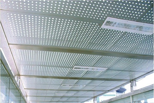 ��׵���������