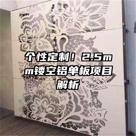 ���Զ��ƣ�2.5mm�ο���������Ŀ����