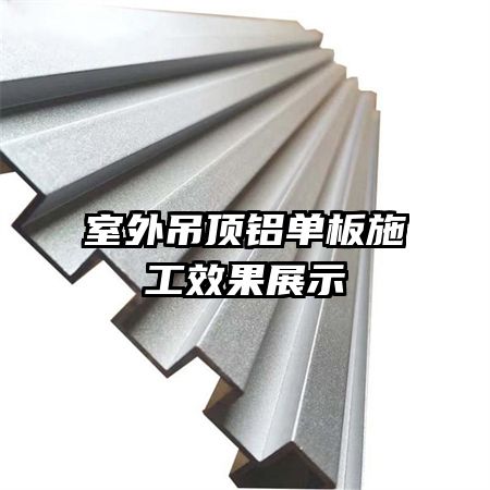 �������������ʩ��Ч��չʾ