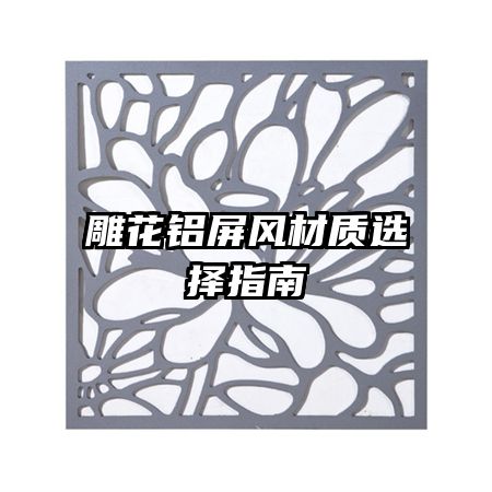 �����������ѡ��ָ��