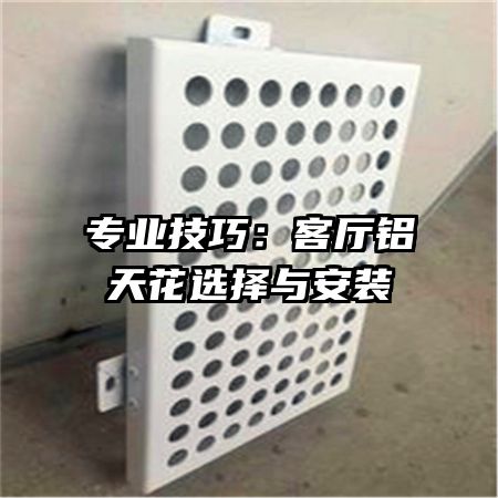 רҵ���ɣ��������컨ѡ���밲װ