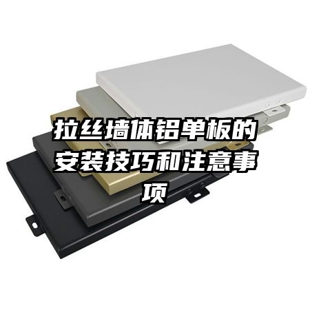 ��˿ǽ��������İ�װ���ɺ�ע������