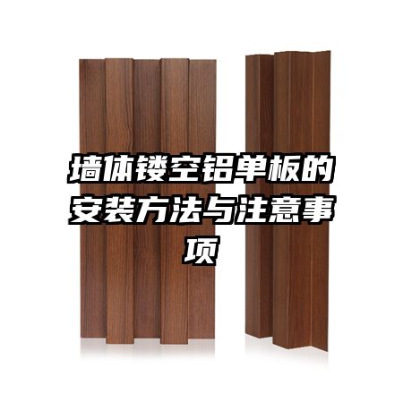 ǽ���ο�������İ�װ������ע������