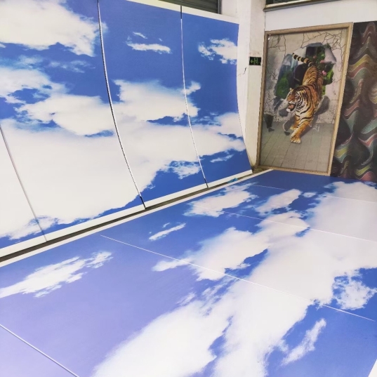 �ʻ�ǽ��������